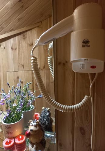 a hair drier sitting on a counter with flowers at Дом с сауной и басейном на Теремках in Hatne