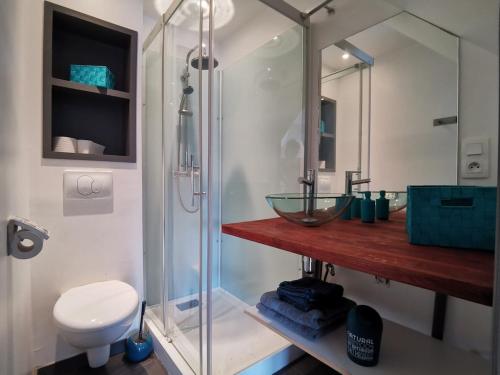 une salle de bain avec une douche, un lavabo et des toilettes dans l'établissement Charmant appartement vue sur le port de Dahouet, à Pléneuf-Val-André