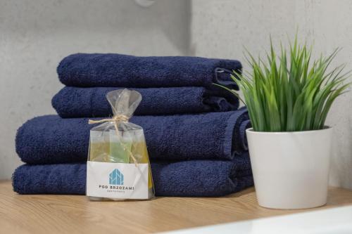 Fotografie z fotogalerie ubytování Apartament 3MOLA Ku Morzu - Basen, Balkon oraz Prywatny Taras na dachu, Free Parking, 150 metrów do Morza v destinaci Ustronie Morskie