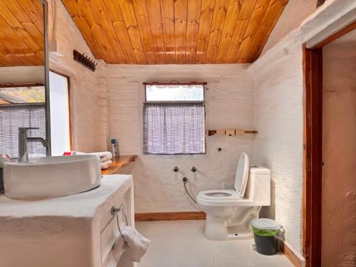 a bathroom with a toilet and a sink and a shower at Aikkya Farms in Mukteswar