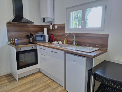 Una pequeña cocina con fregadero y microondas. en Studio lumineux 2 pers Olivet Avenue Loiret, en Olivet