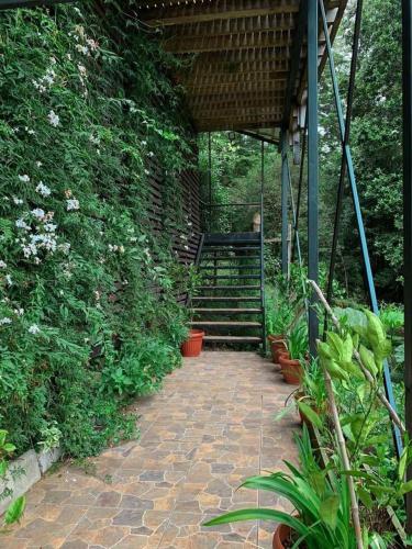 a brick walkway with stairs in a garden at Chalet con Tinaja LicanRay in Challupen