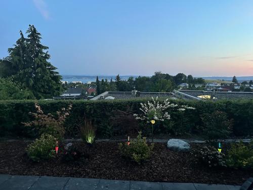 a garden with some plants in a yard at Kleine Perle mit Bodenseeblick und Sonnenterrasse in Daisendorf