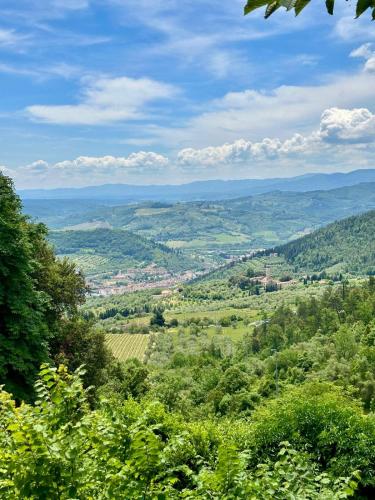 a view of a valley from a hill with trees at Agriturismo Tassinaia in Pontassieve