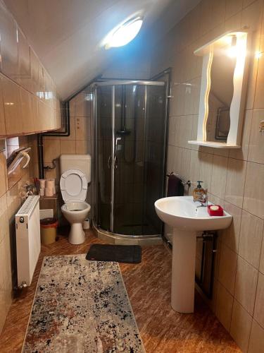 a bathroom with a shower and a sink and a toilet at Casa Veverita in Predeluţ