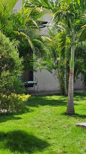 Κήπος έξω από το Tata's Apartment, Confortable y con Piscina