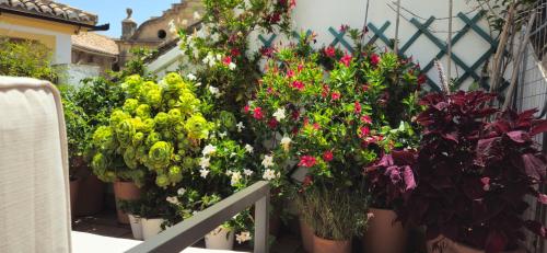 隆达Apartamentos Los Descalzos Ángel With Private Terrace Free Parking的阳台盆栽中的一束鲜花
