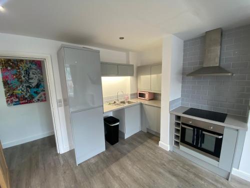 a kitchen with white cabinets and a large refrigerator at LT Duplex - 1 Bedroom Apartment in Leicester