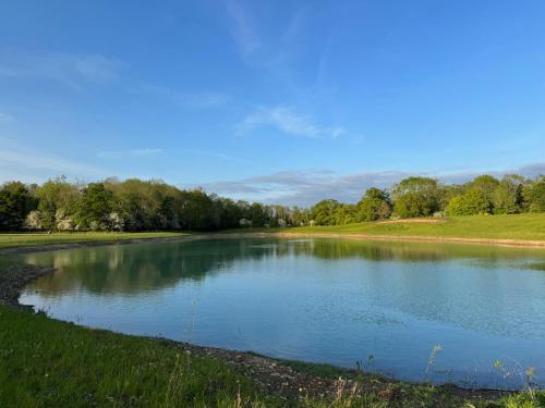 un gran estanque en medio de un campo en The Goose In The Woods, en Wellesbourne