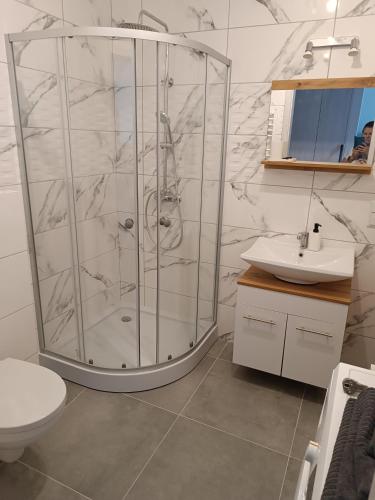 a bathroom with a shower and a toilet and a sink at Apartamenty JAGIEŁŁY PARK in Olsztynek