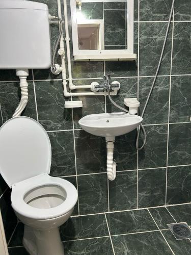 a bathroom with a toilet and a sink at Vila Dunjić Prolom Banja in Prolomska Banja