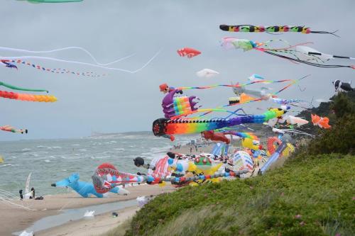 a bunch of kites flying over a beach at Domki w Dąbkach in Dąbki
