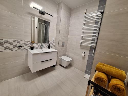 a bathroom with a sink and a toilet and a mirror at Krynicki Lotos Apartament przy deptaku in Krynica Zdrój