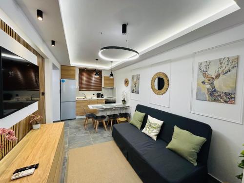 Кухня или мини-кухня в Avra House Nea Peramos
