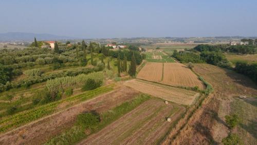 an aerial view of a farm field with trees at Podere Gian Battaglia in Fucecchio