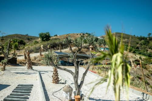 a resort with palm trees and stairs on a beach at Portugals Infinity Eco Suite Resort in Tavira