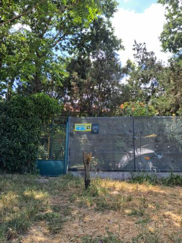Zahrada ubytování Camping Curtea Pescărușului