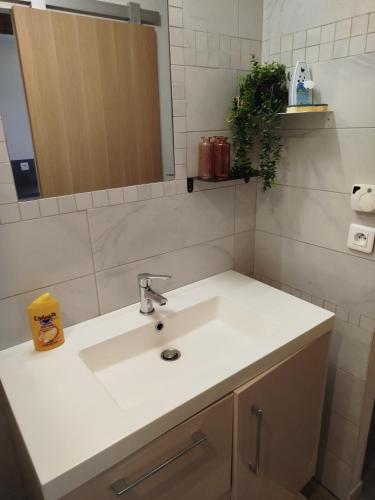 une salle de bain avec un lavabo blanc et un miroir dans l'établissement Le Minimosa T2 au pied du métro, à Toulouse