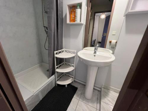 Et badeværelse på Le bonheur partagé au Puy en Velay