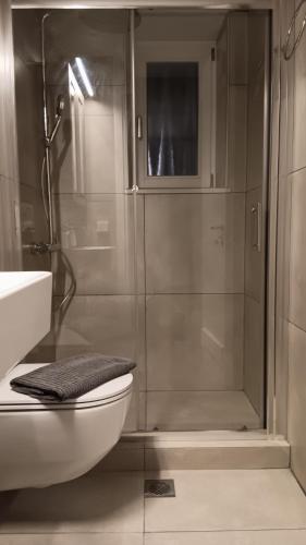 a bathroom with a shower and a toilet and a sink at Stilvi Milos in Plaka Milou