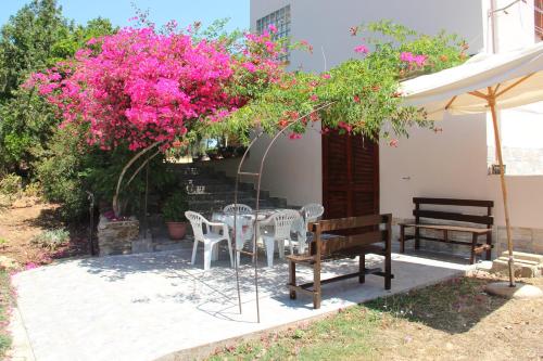 Κήπος έξω από το Casa Baratz