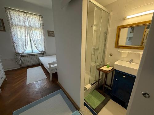 W łazience znajduje się prysznic, umywalka i lustro. w obiekcie Guest House Ilicki Plac w Zagrzebiu