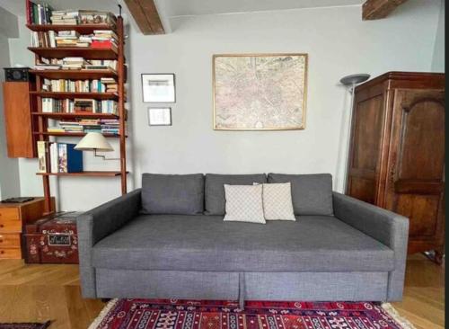 - un canapé gris dans un salon avec une étagère dans l'établissement L'Antiquaire - Cosy & Central of Luxembourg Park, à Paris