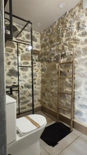 a bathroom with a stone wall and a toilet at Thysanos in Ierapetra