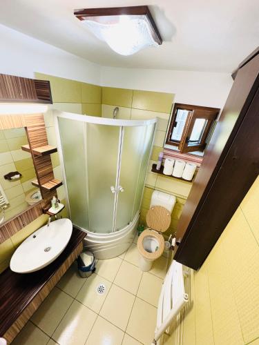 a bathroom with a shower and a sink and a toilet at Cabana Lapina in Vatra Dornei