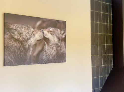 two pictures of wolves kissing on a wall at CAL QuEROL LlíViA - Piscina in Llivia