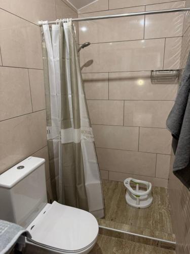 a bathroom with a toilet and a shower at Anna's House in Kos Town
