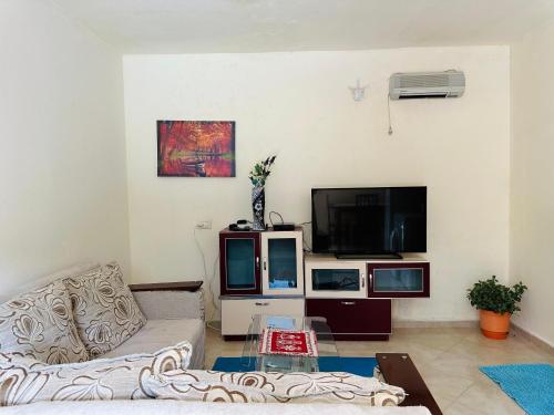 TV a/nebo společenská místnost v ubytování Domus Komanesse - Guest Houses