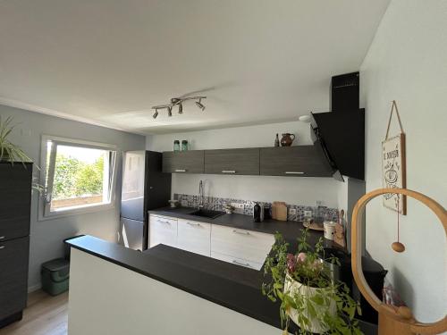 une cuisine avec des armoires en noir et blanc et un comptoir dans l'établissement Appartement duplex proche Strasbourg, à Lampertheim