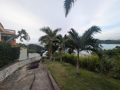 a row of palm trees next to a retaining wall at TwentyFive at Tower Isle in Tower Isle