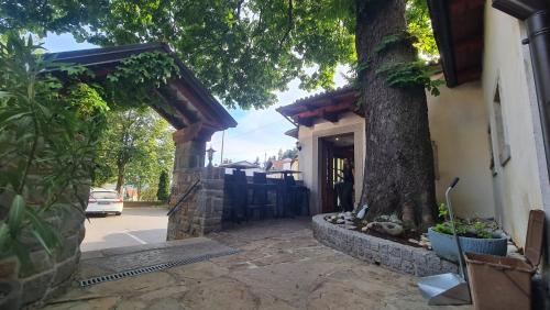 a tree in front of a house with a driveway at Brne Family House in Postojna
