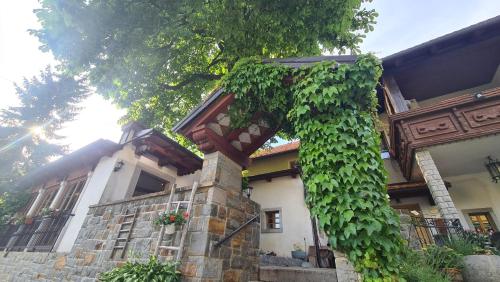 a house with a green ivy growing on it at Brne Family House in Postojna