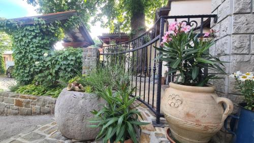 a wrought iron fence with two large vases with plants at Brne Family House in Postojna