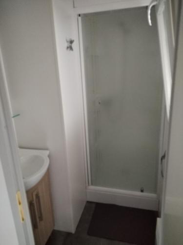 une salle de bain avec douche et lavabo dans l'établissement Camping rivages des Landes, à Aureilhan