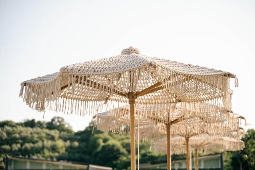 a group of white stringedaded umbrellas at Tommys Village in Ulcinj