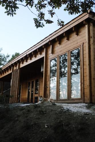 SUNCHILL luxury treehouse