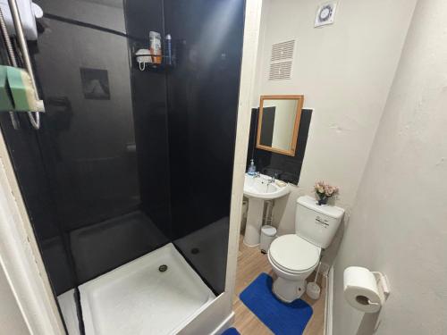a bathroom with a shower and a toilet and a sink at Simple Lodge in Wakefield