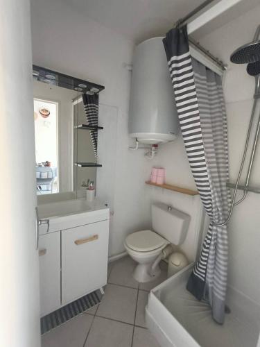 une salle de bain avec toilettes et rideau de douche dans l'établissement Appartement T2 Cabine, mezzanine Saint Pierre la mer 4oliv41, à Saint Pierre La Mer