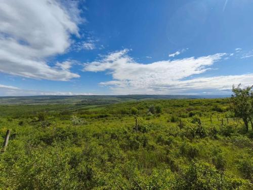 an open field with a blue sky and clouds at Căsuța din Deal 