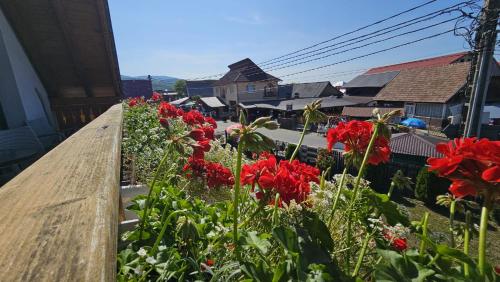 ゲストハウスから撮影された、または一般的な山の景色