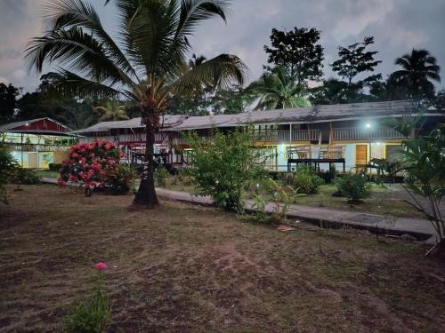 Un jardín fuera de Ecohotel Punta Roca