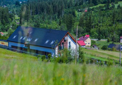 a house with a blue roof sitting in a field at Willa Jaworzynka 1103 K Istebnej in Jaworzynka