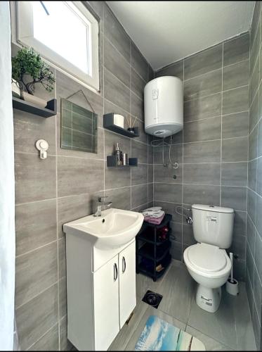a bathroom with a toilet and a sink at JG Studio apartment in Vranjina