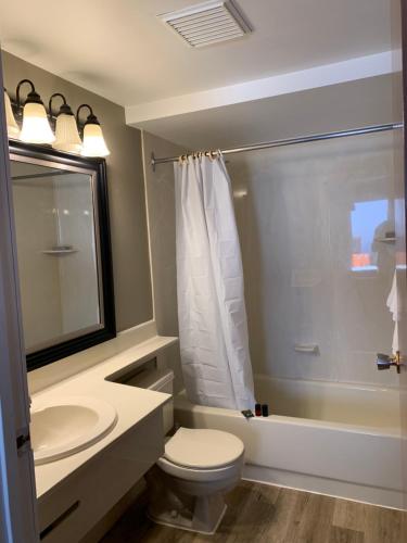 a bathroom with a toilet and a sink and a shower at Rondo Motel in Golden