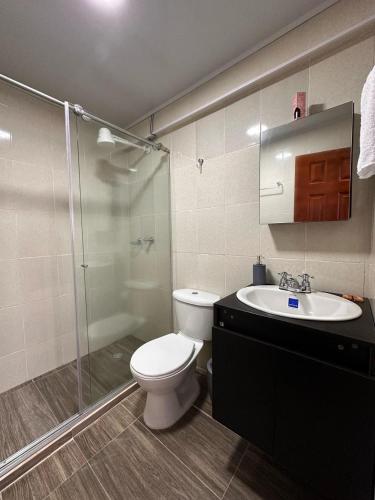 a bathroom with a toilet and a shower and a sink at Apartaestudios Santa Ana in Ruiosucio