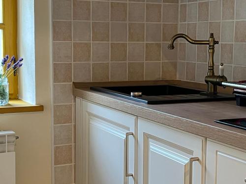 a kitchen with a sink and a counter top at Apartment Abinkar in Tolmin